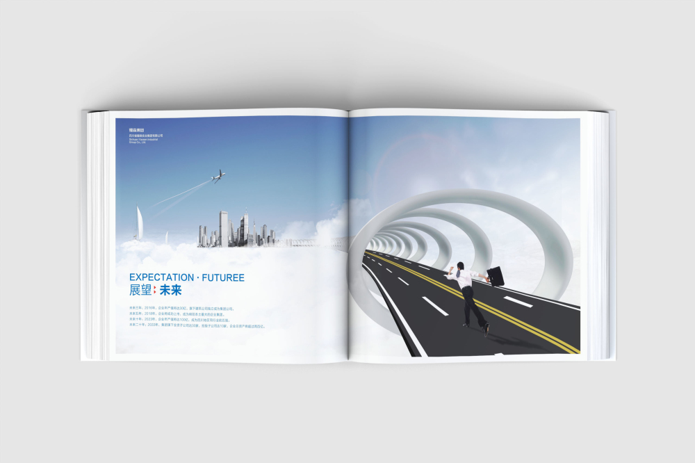 馆陶县画册设计